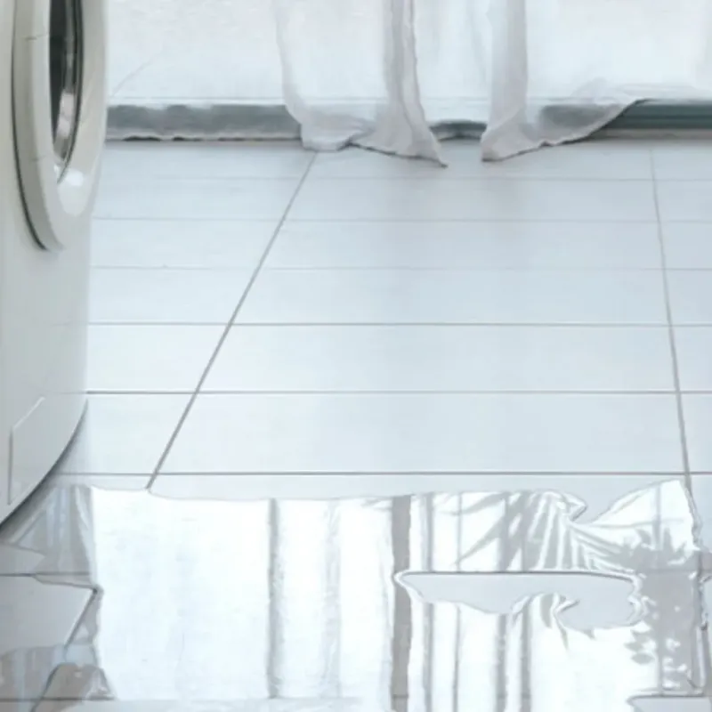 Appliance Leak Cleanup in Ceredo, WV