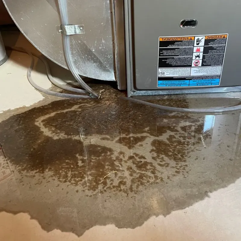 Pipe Burst and Leak Restoration in Ceredo, WV