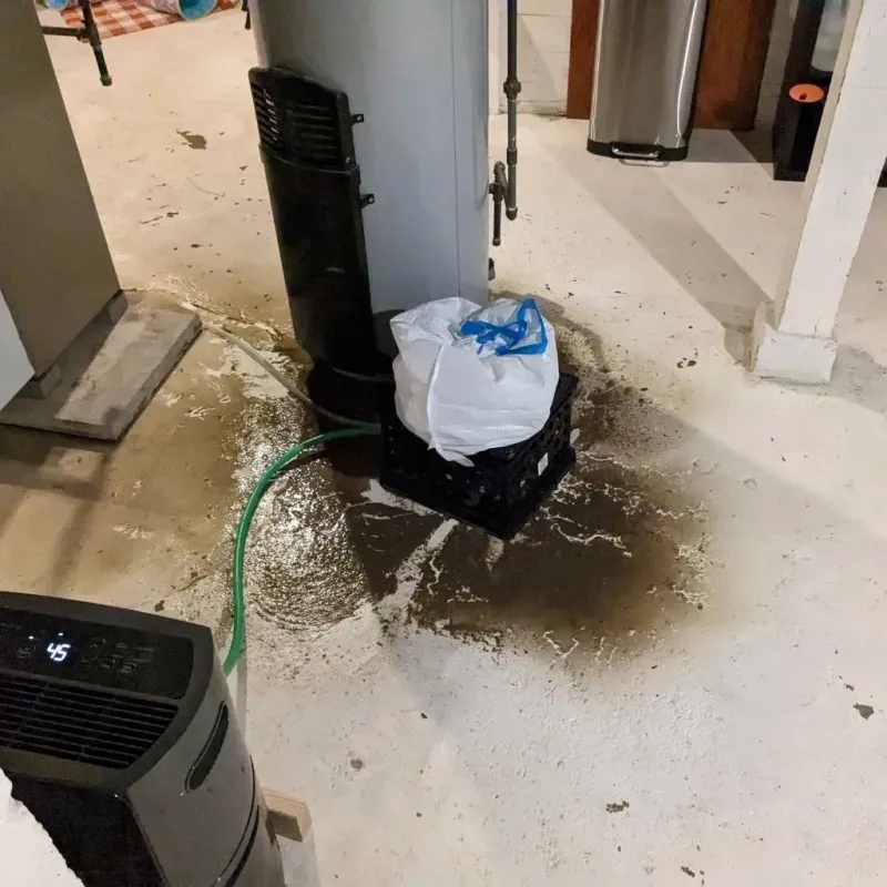 Sewage Backup Cleanup Service in Ceredo, WV